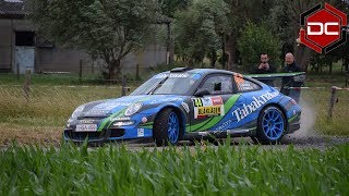 Best of Porsche GT3 Rally Sound  Pure Sound  HD [upl. by Ellerred641]