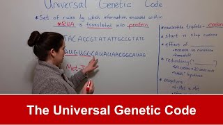 The Universal Genetic Code [upl. by Lenuahs]