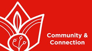 Community and Connection [upl. by Towroy]