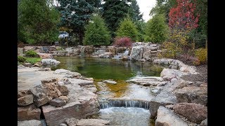 BACKYARD RECREATION POND [upl. by Ahsenauq]