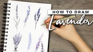 How to Draw Lavender Flowers  DOODLE WITH ME  Tutorial [upl. by Klotz]