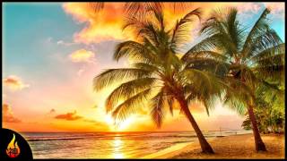 Island Reggae Music  Upbeat Tropics  Tropical Island Beach Music [upl. by Alfie175]