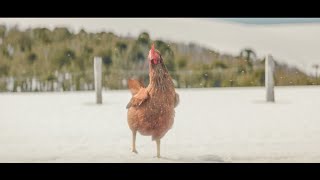 Crossroads  KFC Funny Commercial [upl. by Lozano63]