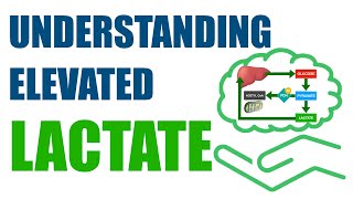 Understanding Elevated Lactate [upl. by Adyaj]