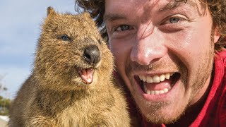 Best Quokka Selfie Guide  How To Take Animal Selfies [upl. by Ahsiam]