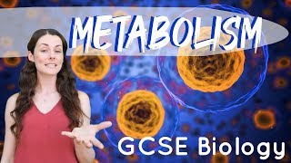 Metabolism  GCSE Biology [upl. by Foulk725]