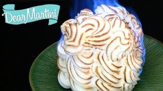 How to Make Baked Alaska Recipe Video [upl. by Aerahs669]