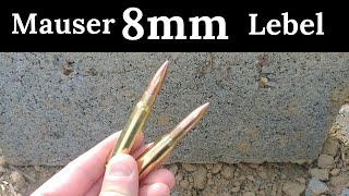 8mm Lebel Vs 8mm Mauser 8x57js [upl. by Frasquito]