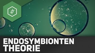 Endosymbiontentheorie [upl. by Ecinhoj]