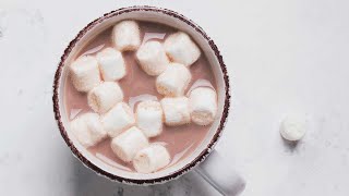 How to Make Hot Cocoa  Rich Chocolatey and Homemade [upl. by Alboran]