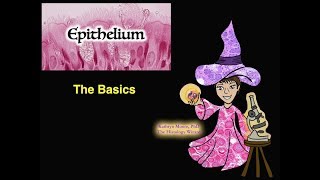 Epithelium The Basics [upl. by Luhey746]