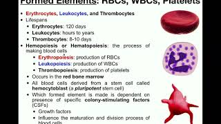 Anatomy  Basics of the Formed Elements RBCs WBCs amp Platelets [upl. by Oigroig]