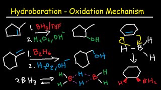 Hydroboration Oxidation Mechanism of Alkenes  BH3 THF H2O2 OH Organic Chemistry [upl. by Hebner]