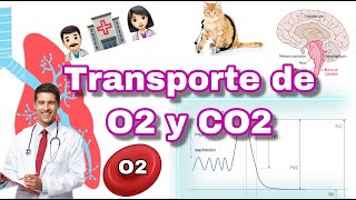 OXÍGENO y CO2 TRANSPORTE EN 4 MINUTOS [upl. by Nosro]