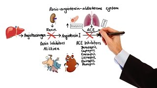 Pharmacology  HYPERTENSION amp ANTIHYPERTENSIVES MADE EASY [upl. by Atillertse]