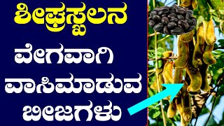 ಶೀಘ್ರಸ್ಖಲನ ವಾಸಿಮಾಡುವ ಶಕ್ತಿ ಈ ಬೀಜಗಳಲ್ಲಿದೆ  Ayurveda Tips in Kannada [upl. by Perusse983]