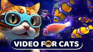 VIDEO FOR CATS  Relaxing Aquarium Fish CAT GAMES  Fish  CAT TV  Screensaver  8 Hours [upl. by Tybi91]