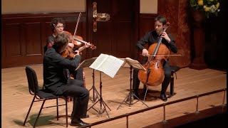 Daniel Sepec Tabea Zimmermann JeanGuihen Queyras  Beethoven String Trios [upl. by Ecinom]