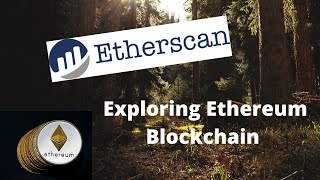 How To Use Etherscan  Everything You Should Know About Etherscan [upl. by Yerhcaz]