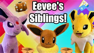 Eevees Siblings  Pokemon Plush Pals [upl. by Gnav71]