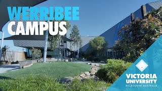 Werribee Campus Tour [upl. by Esinwahs538]