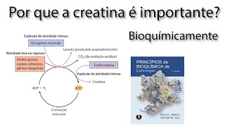 A Bioquímica da Creatina Porque ela é importante [upl. by Claiborn628]