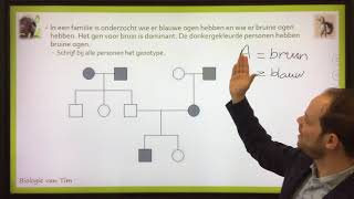 Biologie van Tim  Stambomen [upl. by Denyse]