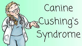 Dr Ferox on Cushings Syndrome [upl. by Neelhsa]