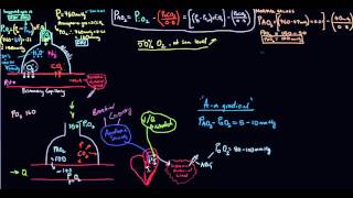 Aa gradient Alveolararterial oxygen gradient [upl. by Berger]