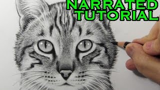 How to Draw a Cat Narrated StepbyStep Tutorial [upl. by Krein775]