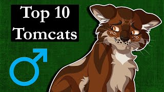 Top 10 Tomcats in Warrior Cats [upl. by Ardnal]