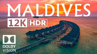 Maldives 12K HDR 60fps Dolby Vision [upl. by Fi]