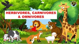 Herbivores  Carnivores  Omnivores  Types of Animals [upl. by Rifkin]