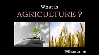 what is agriculture  introduction and status of agriculture [upl. by Nahtan]