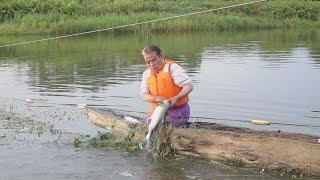 許可得ずサケ十数匹捕獲 アイヌ男性、先住権主張 [upl. by Danaher]