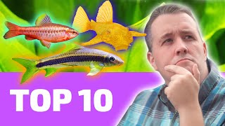 Top 10 EASY Fish That Every BEGINNER Needs [upl. by Turtle]