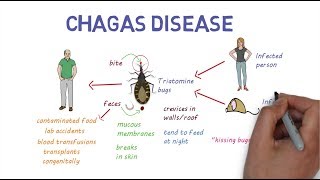 Chagas Disease  An overview [upl. by Hillyer]