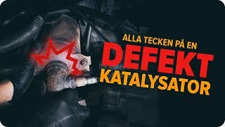 Så kontrollerar du en katalysator  AUTODOC tipsar [upl. by Scoter]