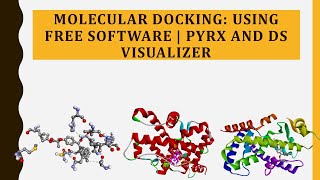 Molecular Docking Using Free Software  PyRx and DS Visualizer [upl. by Brandes703]