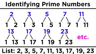 Divisibility Prime Numbers and Prime Factorization [upl. by Eziechiele562]