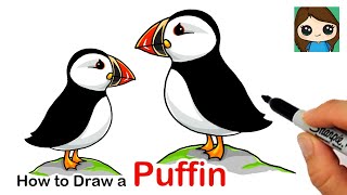 How to Draw a Puffin Bird [upl. by Elli]