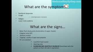 Understanding Mitral Valve Disease in Dogs [upl. by Janina]