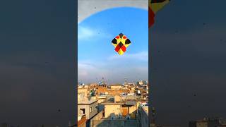 Big kite Flying  6 Tawa  How to fly kite  Kite flying tips and tricks [upl. by Danika407]