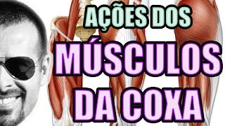 Vídeo Aula 122  Anatomia Humana  Sistema Muscular  Músculos da Coxa Quadríceps e Isquiotibiais [upl. by Ltsyrk]