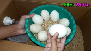 Easy Incubator For Hatching Duck Eggs  Homemade Duck Incubator [upl. by Enalb602]