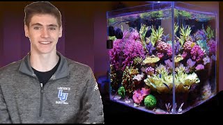 How To Set Up a Nano Reef in 5 Minutes [upl. by Glantz]