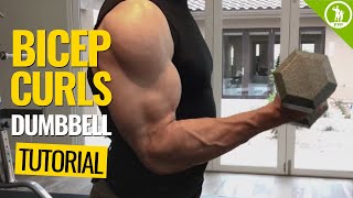 Bicep Curls — DUMBBELL FORM amp TECHNIQUE [upl. by Merlin181]