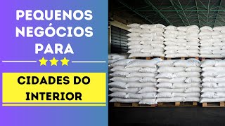 10 Negócios LUCRATIVOS para cidades PEQUENAS do interior [upl. by Linskey]