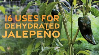 16 Uses for Dehydrated Jalapeño [upl. by Eiknarf]