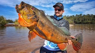 SÓ PEIXES MONSTROS CONHEÇA O LUGAR MAIS COBIÇADO DO MUNDO PARA PESCA DE TUCUNARÉAÇU Pescaria [upl. by Norman81]